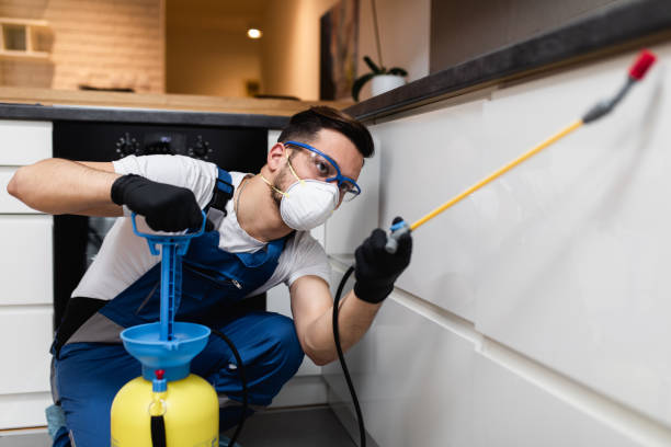 Flea Control Services in Lester Prairie, MN
