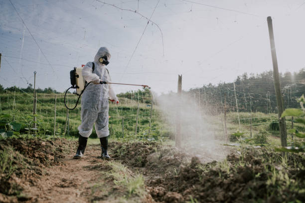 Best Pest Prevention Services  in Lester Prairie, MN