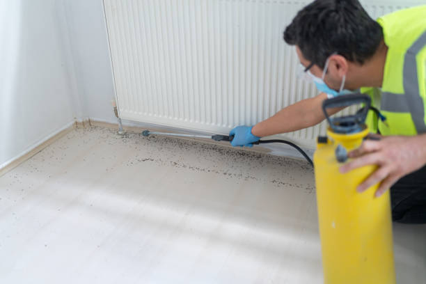 Best Commercial Pest Control Services  in Lester Prairie, MN